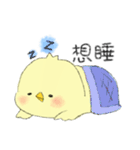 Chick Pipi（個別スタンプ：14）