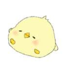 Chick Pipi（個別スタンプ：15）