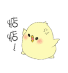 Chick Pipi（個別スタンプ：17）