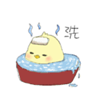 Chick Pipi（個別スタンプ：20）
