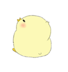 Chick Pipi（個別スタンプ：24）