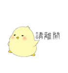 Chick Pipi（個別スタンプ：26）