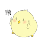 Chick Pipi（個別スタンプ：27）
