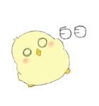 Chick Pipi（個別スタンプ：28）