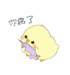 Chick Pipi（個別スタンプ：30）