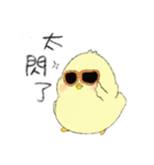 Chick Pipi（個別スタンプ：31）