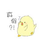 Chick Pipi（個別スタンプ：35）