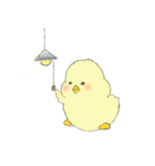 Chick Pipi（個別スタンプ：36）