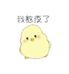 Chick Pipi（個別スタンプ：37）