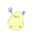 Chick Pipi（個別スタンプ：39）