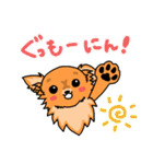 MIX犬 ハンナたん（個別スタンプ：1）