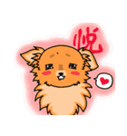 MIX犬 ハンナたん（個別スタンプ：11）
