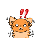 MIX犬 ハンナたん（個別スタンプ：16）