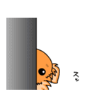 MIX犬 ハンナたん（個別スタンプ：17）