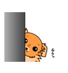MIX犬 ハンナたん（個別スタンプ：18）