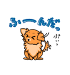 MIX犬 ハンナたん（個別スタンプ：27）