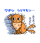 MIX犬 ハンナたん（個別スタンプ：30）
