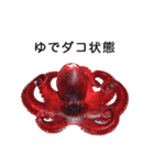 お魚写真スタンプ（個別スタンプ：1）