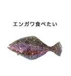 お魚写真スタンプ（個別スタンプ：3）