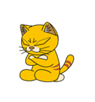 猫空手(師匠編)（個別スタンプ：20）