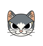 猫空手(師匠編)（個別スタンプ：21）