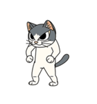 猫空手(師匠編)（個別スタンプ：22）