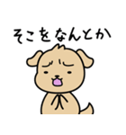 困った犬のスタンプ（個別スタンプ：11）