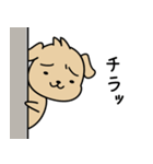 困った犬のスタンプ（個別スタンプ：20）