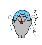 まゆアザラシ（個別スタンプ：36）