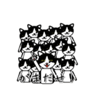 ダゴジューさん（個別スタンプ：12）