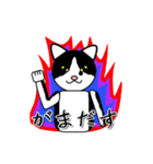 ダゴジューさん（個別スタンプ：13）