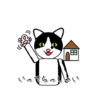 ダゴジューさん（個別スタンプ：19）