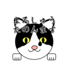 ダゴジューさん（個別スタンプ：40）