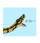 ボールパイソン（個別スタンプ：7）