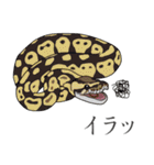 ボールパイソン（個別スタンプ：10）