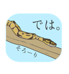 ボールパイソン（個別スタンプ：18）