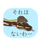 ボールパイソン（個別スタンプ：22）