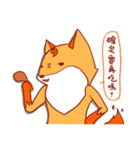 Aoten ＆ Fox（個別スタンプ：13）