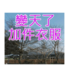 簡単見積もり3（個別スタンプ：16）