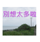 簡単見積もり3（個別スタンプ：23）
