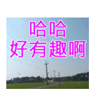 簡単見積もり3（個別スタンプ：31）