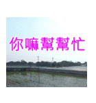 簡単見積もり3（個別スタンプ：34）