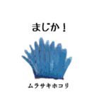 粘菌スタンプ（個別スタンプ：9）