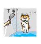 only the white of the firewood（個別スタンプ：3）