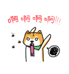 only the white of the firewood（個別スタンプ：5）