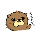 こたろうちゃん（個別スタンプ：3）