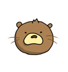 こたろうちゃん（個別スタンプ：11）