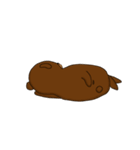クマさんの休日（個別スタンプ：31）