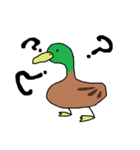 緑の鴨（個別スタンプ：1）