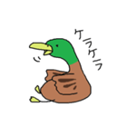 緑の鴨（個別スタンプ：3）